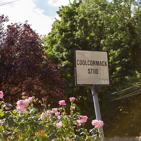 دونغارفان Coolcormack Stud B&B المظهر الخارجي الصورة
