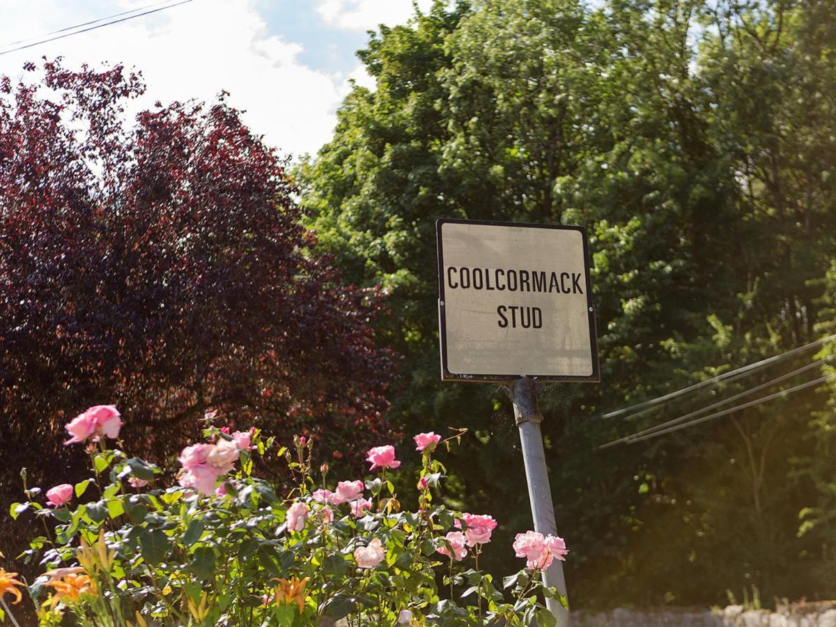 دونغارفان Coolcormack Stud B&B المظهر الخارجي الصورة
